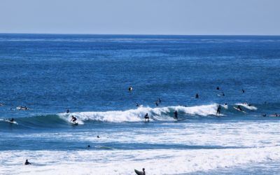 When Performance Management Feels Like Surfing